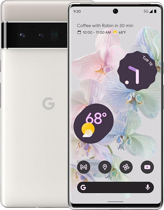 Google Pixel 6Pro