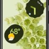 Google Pixel 6