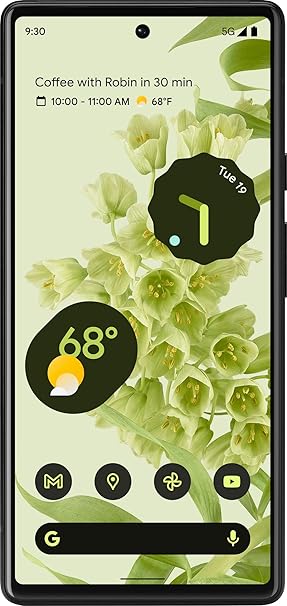 Google Pixel 6