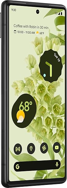 Google Pixel 6